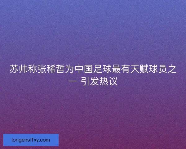苏帅称张稀哲为中国足球最有天赋球员之一 引发热议